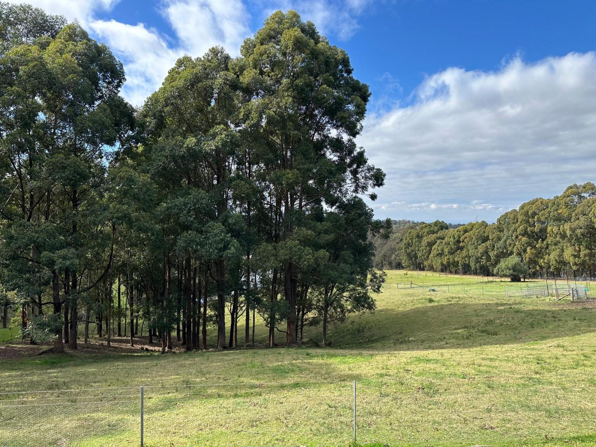 Blueberry Hills On Comleroy Farmstay - Self-Contained Cottages Kurrajong Buitenkant foto