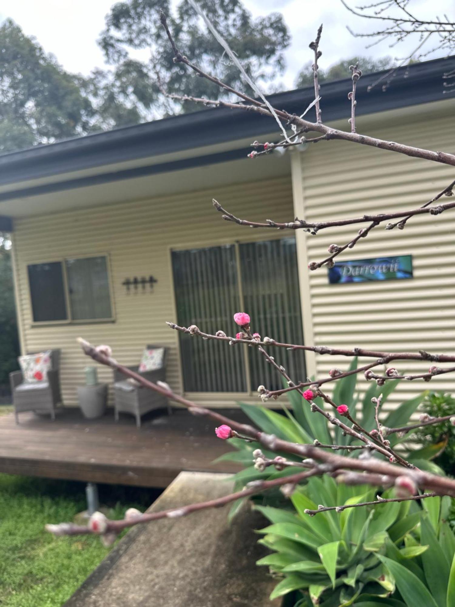Blueberry Hills On Comleroy Farmstay - Self-Contained Cottages Kurrajong Buitenkant foto