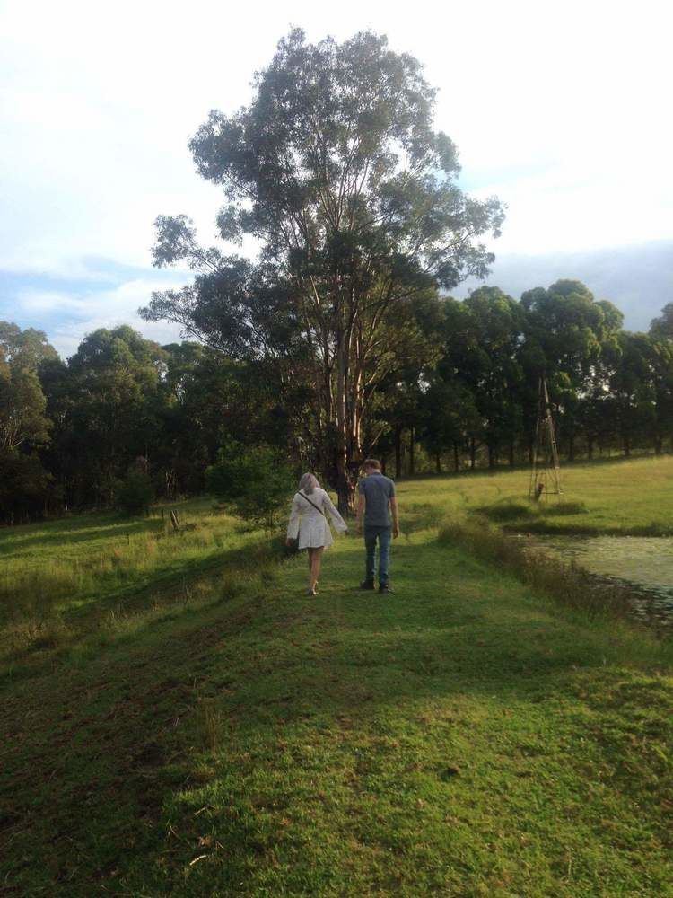 Blueberry Hills On Comleroy Farmstay - Self-Contained Cottages Kurrajong Buitenkant foto