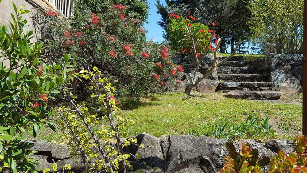 Blueberry Hills On Comleroy Farmstay - Self-Contained Cottages Kurrajong Buitenkant foto