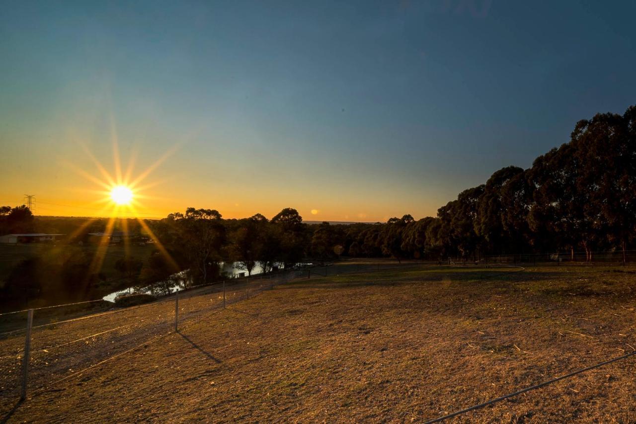 Blueberry Hills On Comleroy Farmstay - Self-Contained Cottages Kurrajong Buitenkant foto