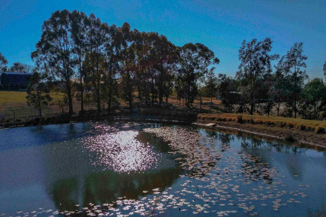 Blueberry Hills On Comleroy Farmstay - Self-Contained Cottages Kurrajong Buitenkant foto