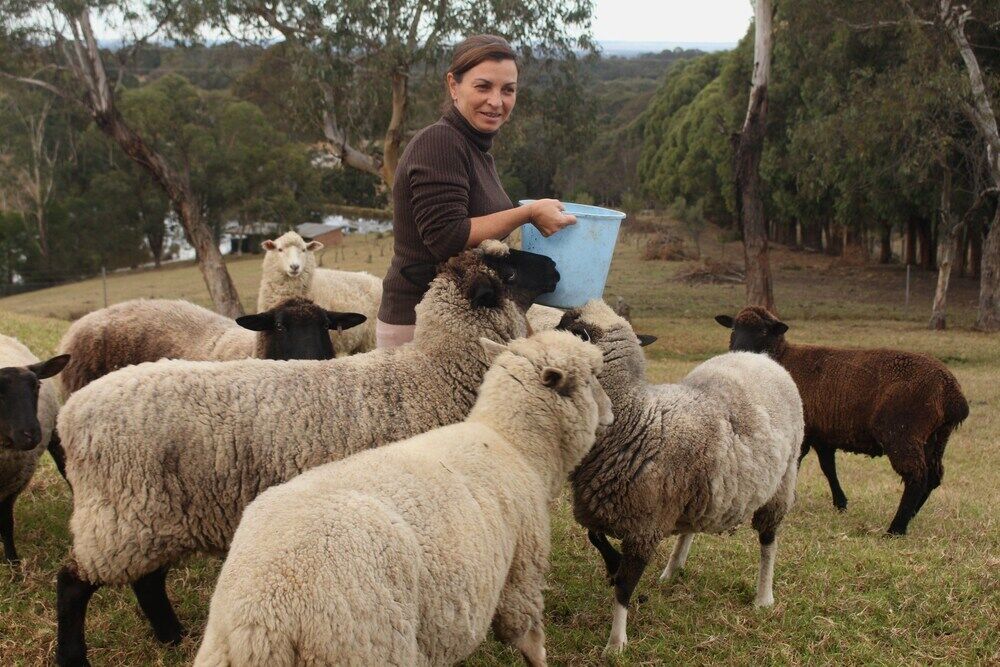Blueberry Hills On Comleroy Farmstay - Self-Contained Cottages Kurrajong Buitenkant foto